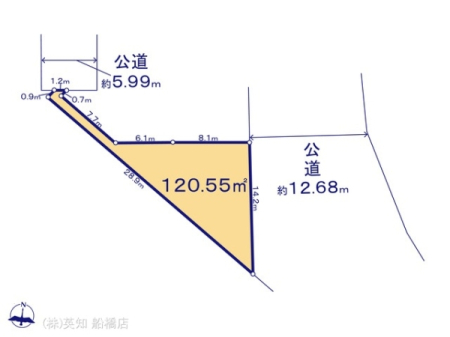 tKus6ڂ̓yn̉摜
