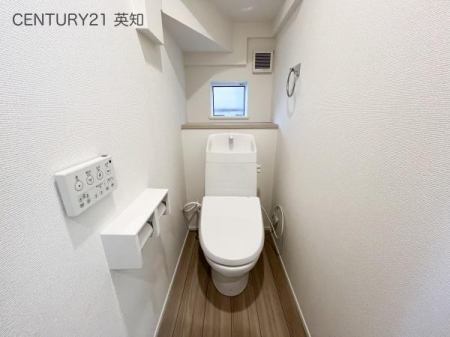 ��t�����q�s��P���̐V�z��ˌ��Ẵg�C��