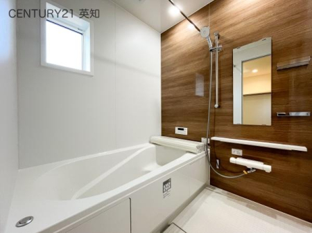 ��t�����q�s��P���̐V�z��ˌ��Ă̗���