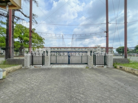 tts΋_c1ڂ̒ÈˌĂ̎ӊ