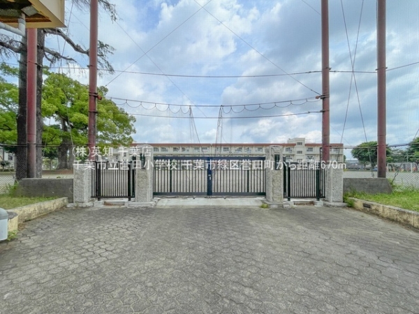 tts΋_c1ڂ̒ÈˌĂ̎ӊ