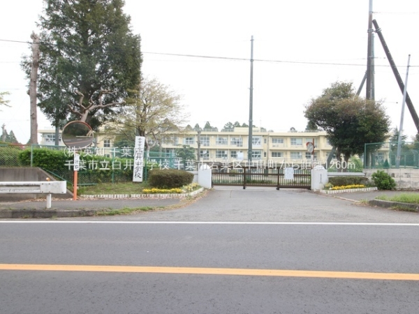 ttst撆c̒ÈˌĂ̎ӊ