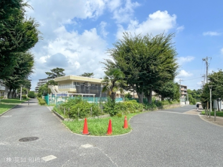 tDs匊k8ڂ̓yn̎ӊ