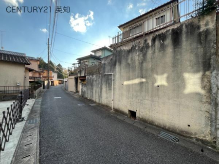 ttst{2ڂ̒ÈˌĂ̑OʓH܂ތnʐ^