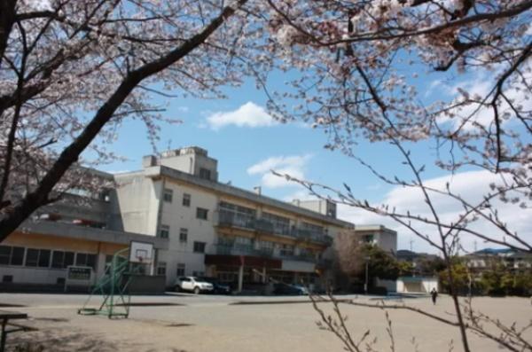 ttst搼s5ڂ̒ÈˌĂ̎ӊ