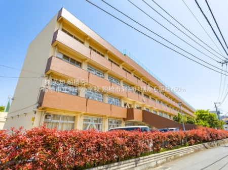 tDsC_3ڂ̐VzˌĂ̎ӊ