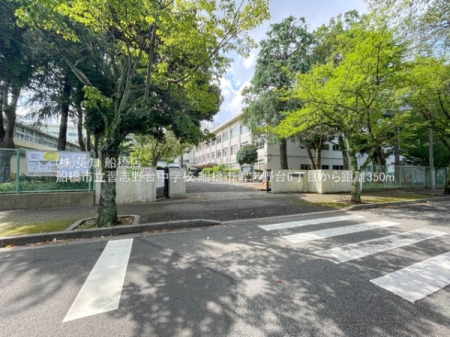 ��t���D���s�K�u���6���ڂ̐V�z��ˌ��Ă̎��ӊ�