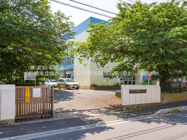 tDs炪u2ڂ̐VzˌĂ̎ӊ