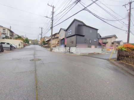 ttst]̐VzˌĂ̑OʓH܂ތnʐ^