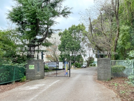 tPJsx3ڂ̐VzˌĂ̎ӊ