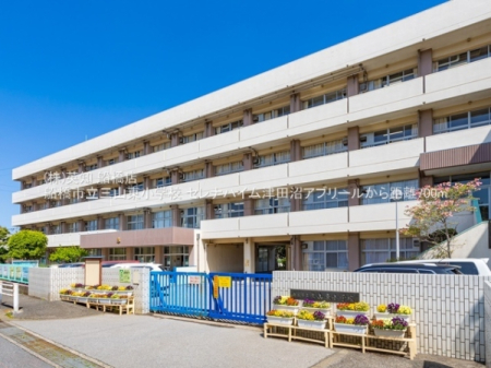 tDsKu5ڂ̒Ã}V̎ӊ