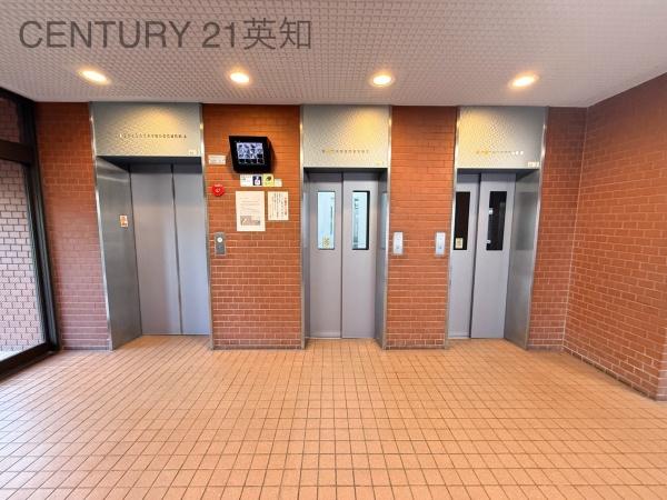 ��t����t�s������S��2���ڂ̒��Ã}���V�����̂��̑����p��