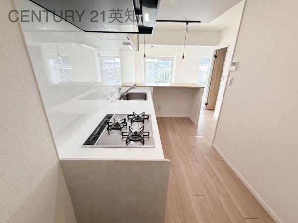 ��t����t�s������S��2���ڂ̒��Ã}���V�����̃L�b�`��