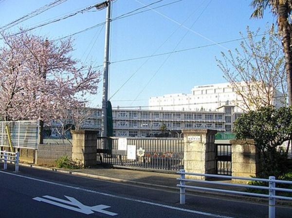 ��t����t�s������S��2���ڂ̒��Ã}���V�����̎��ӊ�