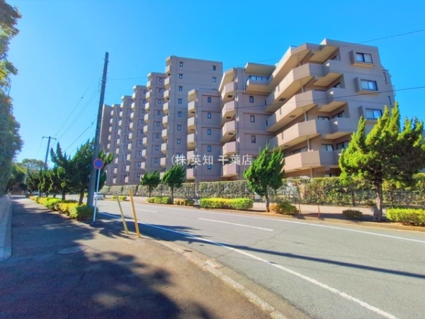 ��t����t�s���l��l�c1���ڂ̒��Ã}���V�����̂��̑����n