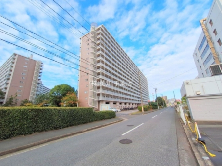 ��t����t�s���l��K��1���ڂ̒��Ã}���V�����̂��̑����n