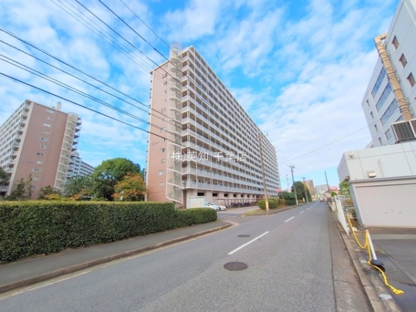 ��t����t�s���l��K��1���ڂ̒��Ã}���V�����̂��̑����n