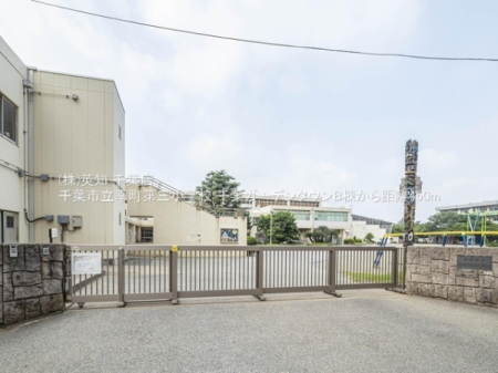 ��t����t�s���l��K��1���ڂ̒��Ã}���V�����̎��ӊ�