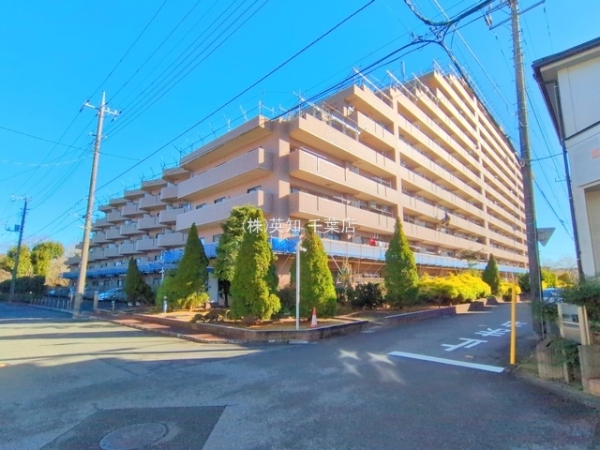 ��t����t�s��t����䓌2���ڂ̒��Ã}���V�����̂��̑����n