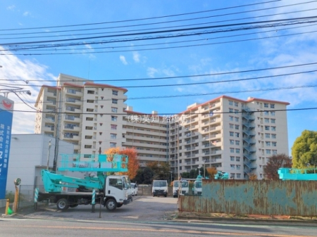 ��t���D���s�C�_��2���ڂ̒��Ã}���V�����̂��̑����n