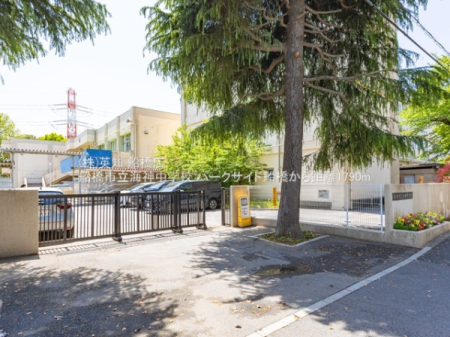 ��t���D���s�C�_��2���ڂ̒��Ã}���V�����̎��ӊ�