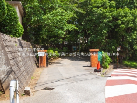 ��t����t�s��t����]�����̐V�z��ˌ��Ă̎��ӊ�