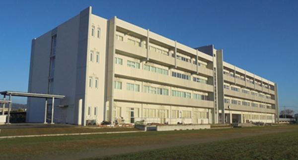 ��t�������s�Ɠ��̒��È�ˌ��Ă̎��ӊ�