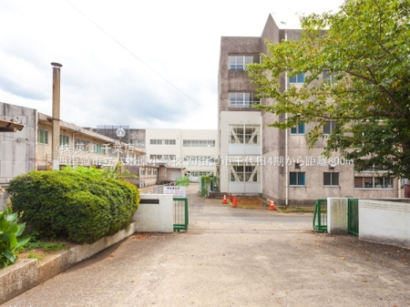 ��t���l�X���s���c3���ڂ̓y�n�̎��ӊ�