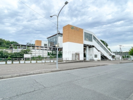 ��t���l�X���s���c3���ڂ̓y�n�̎��ӊ�