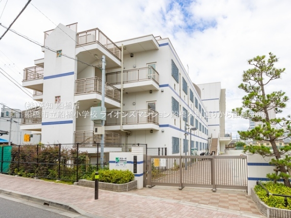 ��t���D���s�{��4���ڂ̒��Ã}���V�����̎��ӊ�