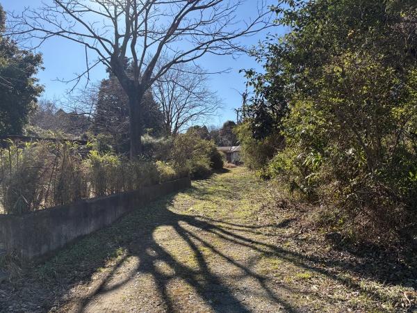 ��t����t�s�΋敽�R���̓y�n�̉摜