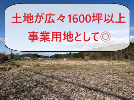 ��t����t�s�������˒� 91-1�̓y�n�̌��n�y�n�ʐ^