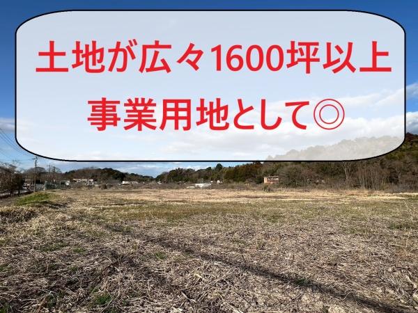 ��t����t�s�������˒� 91-1�̓y�n�̌��n�y�n�ʐ^