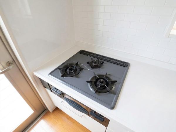 ��t����t�s��t�揬�q�� 1328-16�̒��È�ˌ��ẴL�b�`��