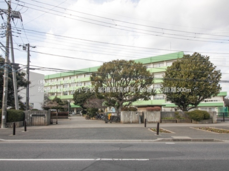 ��t���D���s�؈䒬�̐V�z��ˌ��Ă̎��ӊ�