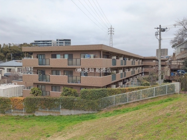 ��t���K�u��s����1���ڂ̒��Ã}���V�����̌��n�O�ώʐ^