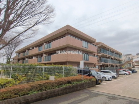 ��t���K�u��s����1���ڂ̒��Ã}���V�����̂��̑����n