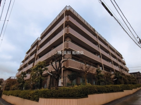 ��t���D���s��{1���ڂ̒��Ã}���V�����̂��̑����n