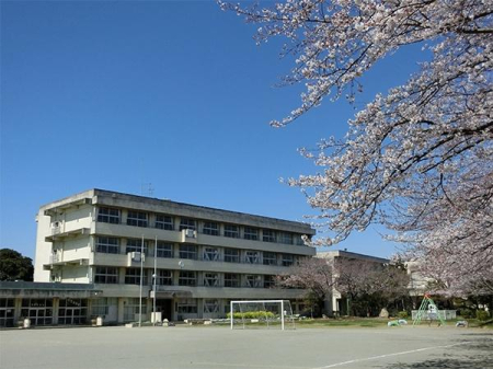 ��t����t�s��t�挹���̒��Ã}���V�����̎��ӊ�