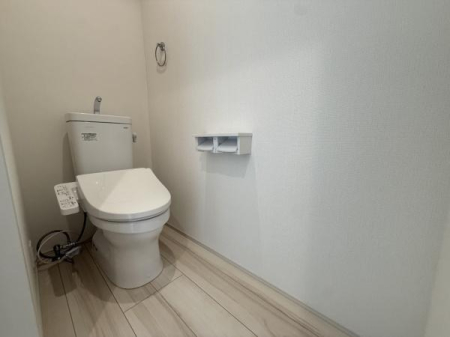 ��t���l�X���s����̒��È�ˌ��Ẵg�C��