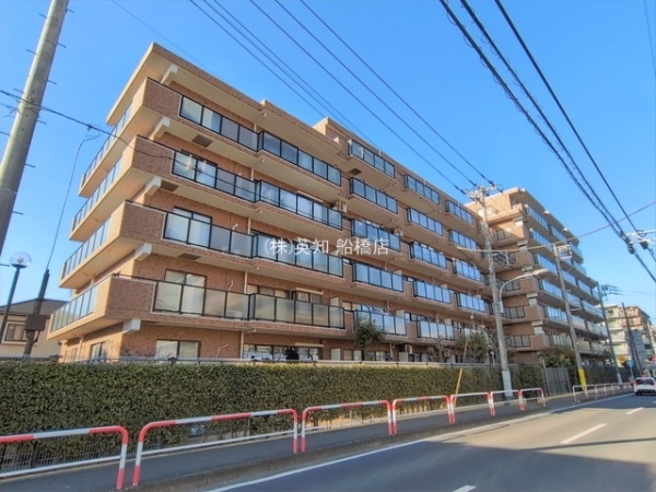 ��t���K�u��s�{��v��5���ڂ̒��Ã}���V�����̌��n�O�ώʐ^