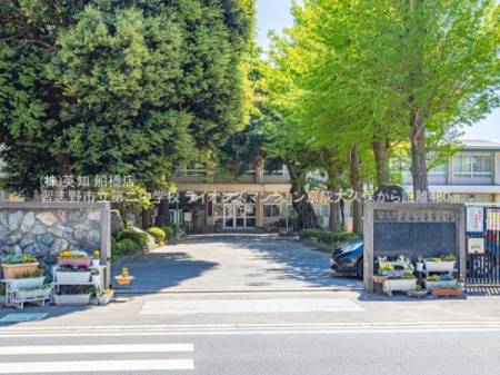 ��t���K�u��s�{��v��5���ڂ̒��Ã}���V�����̎��ӊ�