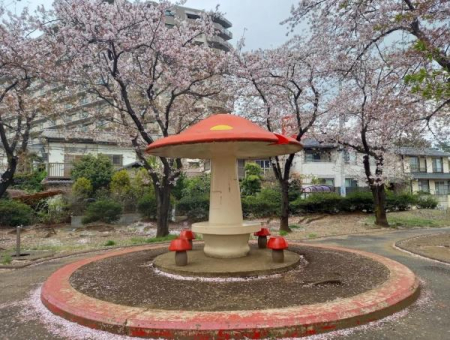 ��t����t�s������o��4���ڂ̒��Ã}���V�����̎��ӊ�