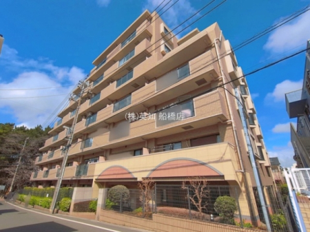 ��t���D���s�K�u���3���ڂ̒��Ã}���V�����̂��̑����n