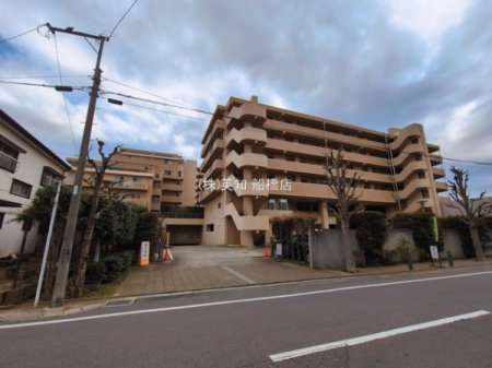 ��t���D���s��~��3���ڂ̒��Ã}���V�����̂��̑����n