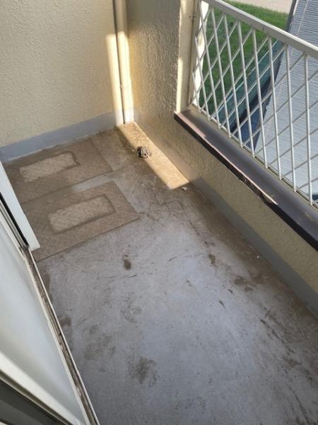 ��t����t�s��t����]���� 1475-20�̒��È�ˌ��Ẵo���R�j�[