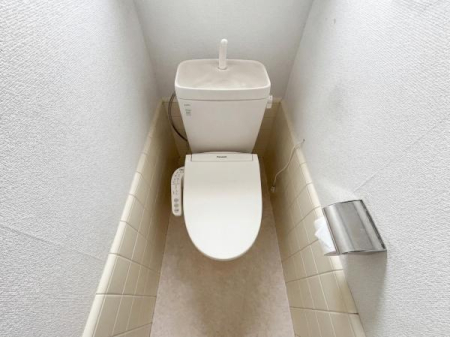 ��t���l�X���s���P�u3���ڂ̒��È�ˌ��Ẵg�C��