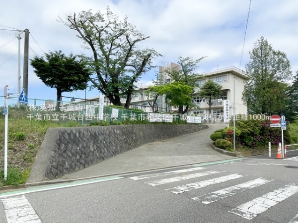 ��t����t�s��t�����k1���ڂ̓y�n�̎��ӊ�