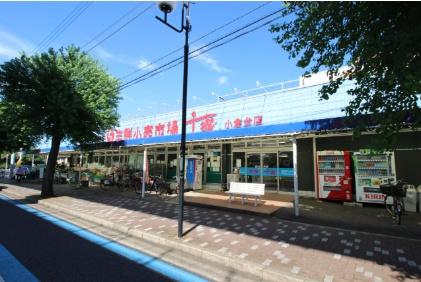 ��t����t�s��t�揬�q��4���� 1047-70�̐V�z��ˌ��Ă̎��ӊ�