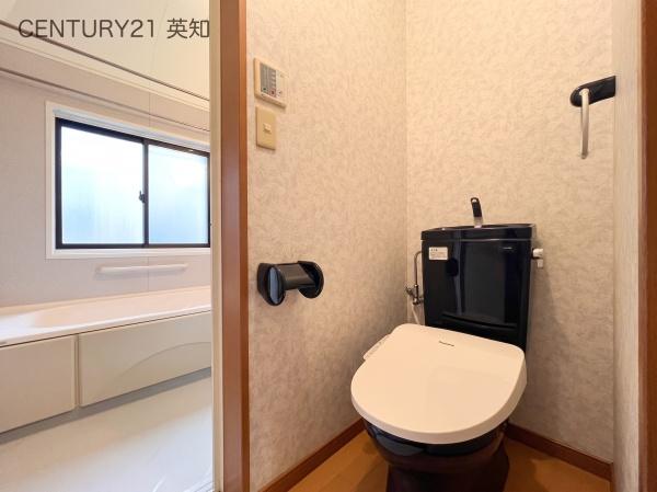 ��t���l�X���s�������u3���ڂ̒��È�ˌ��Ẵg�C��